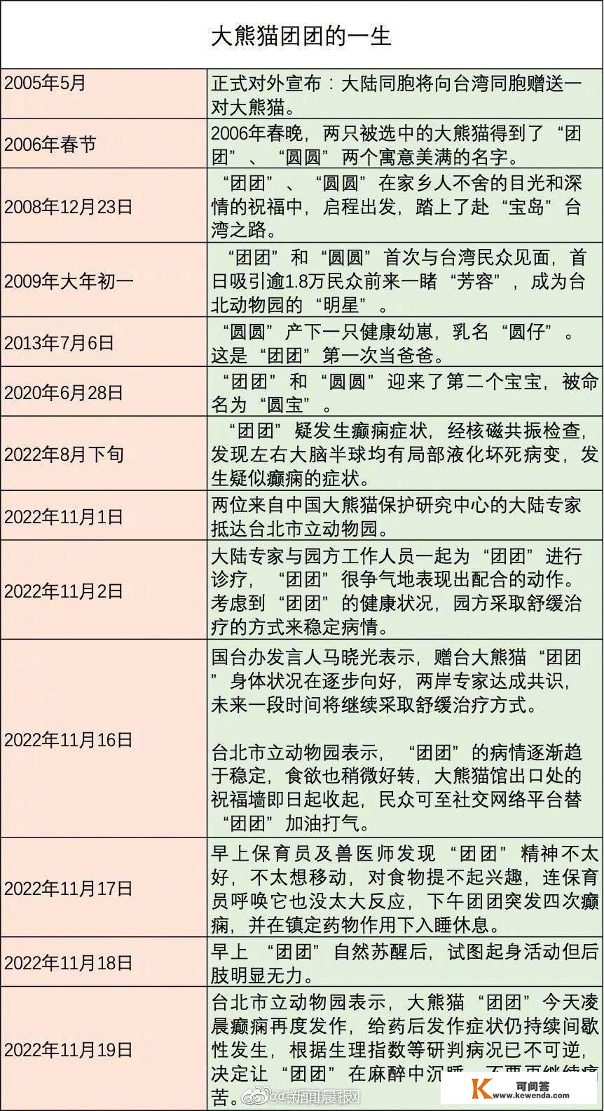 动物园：CT显示“团团”病灶扩大，将尽可能保留其外相和骨骼