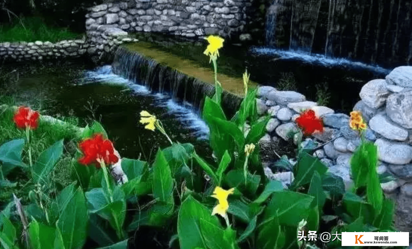 第27个世界湿地日，清点郑州周边湿地公园，一路去吸氧！