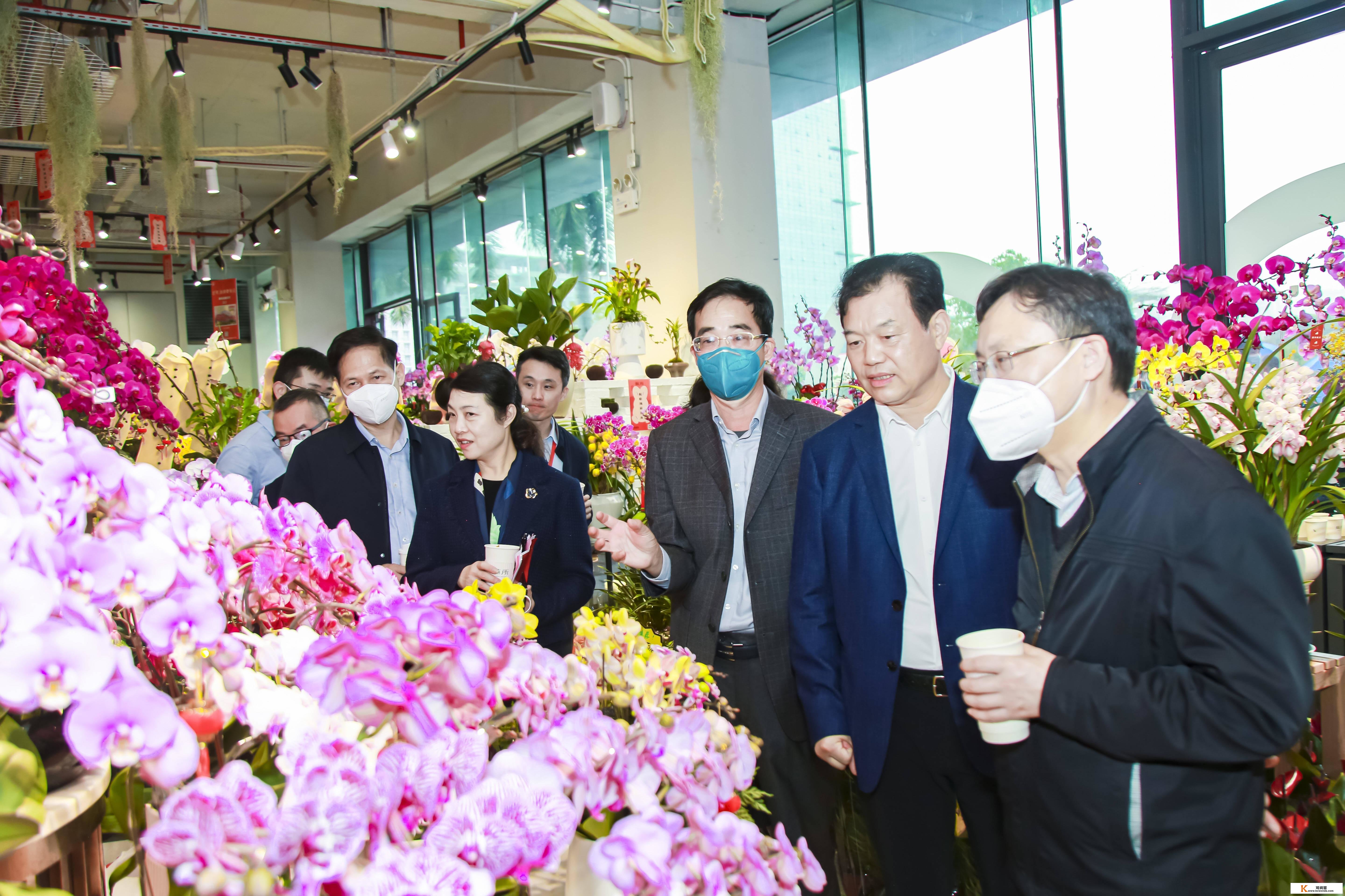 韶关兰花扮靓大湾区市场！那场精巧农产物展现展销推介活动在深举办