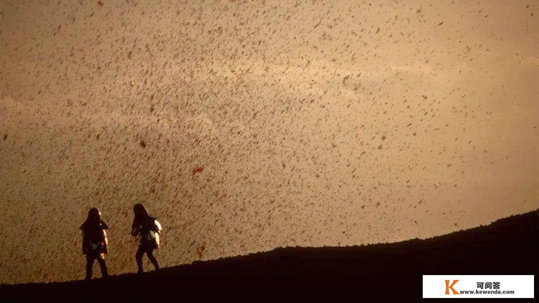 纪录片《火山挚恋》：即便归于尘土，我心永久