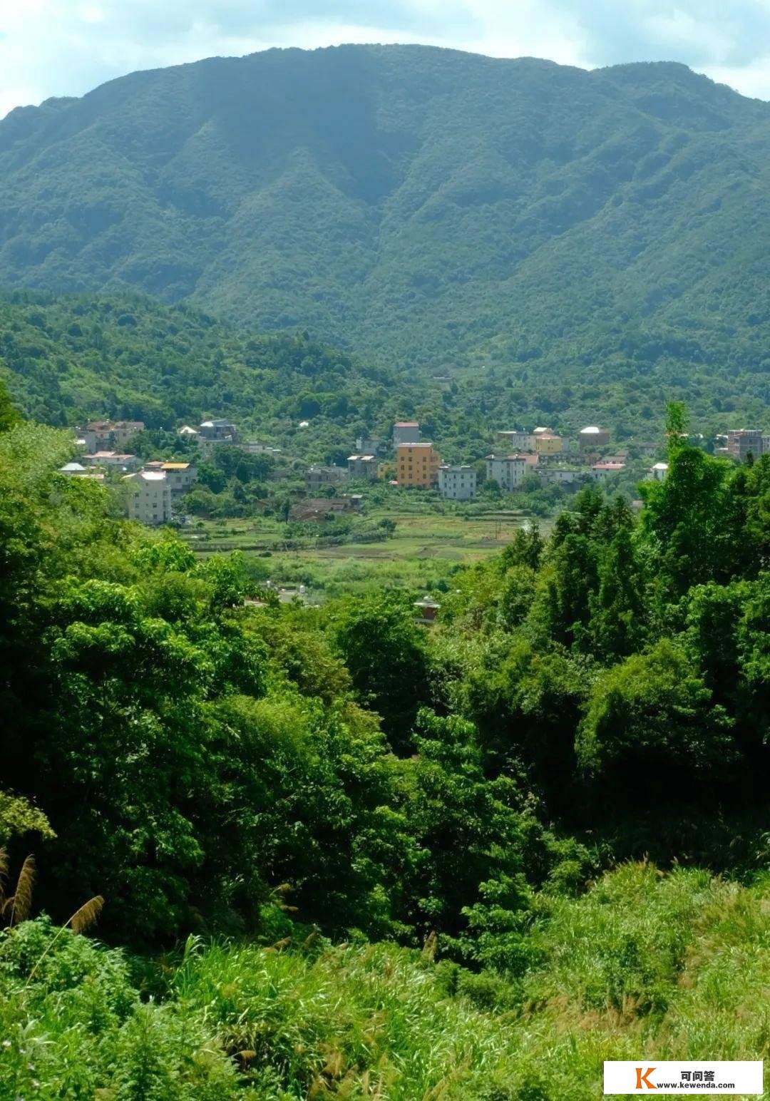 隐藏莆田大山中的千亩唐宋茶田，能否为福建贡茶的消费地？