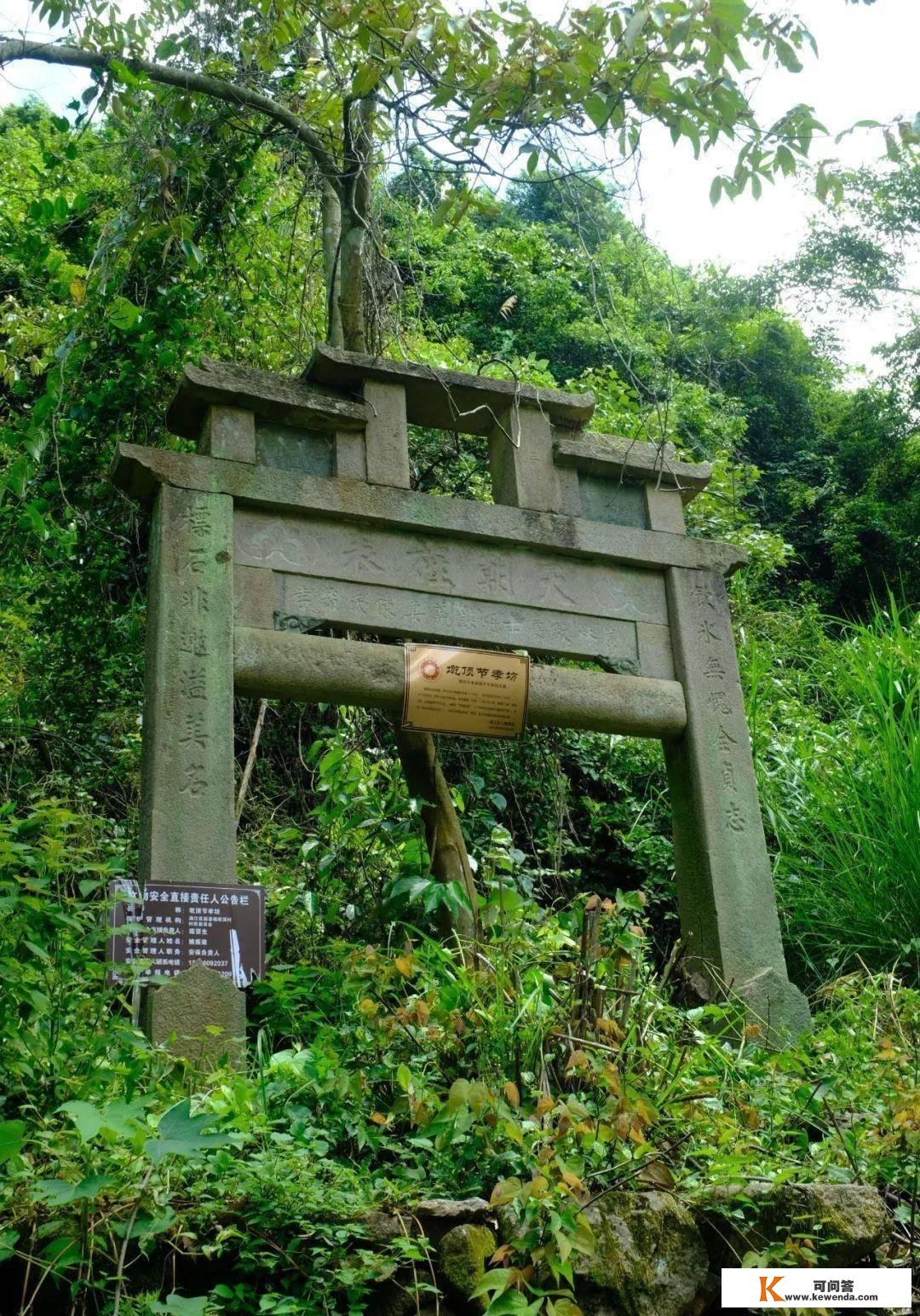 隐藏莆田大山中的千亩唐宋茶田，能否为福建贡茶的消费地？