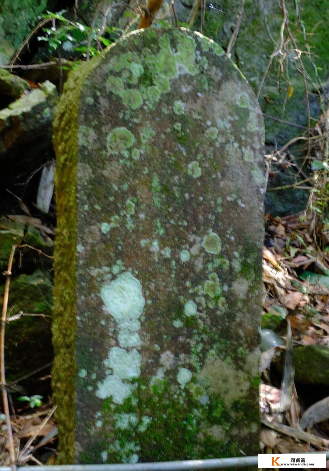 隐藏莆田大山中的千亩唐宋茶田，能否为福建贡茶的消费地？