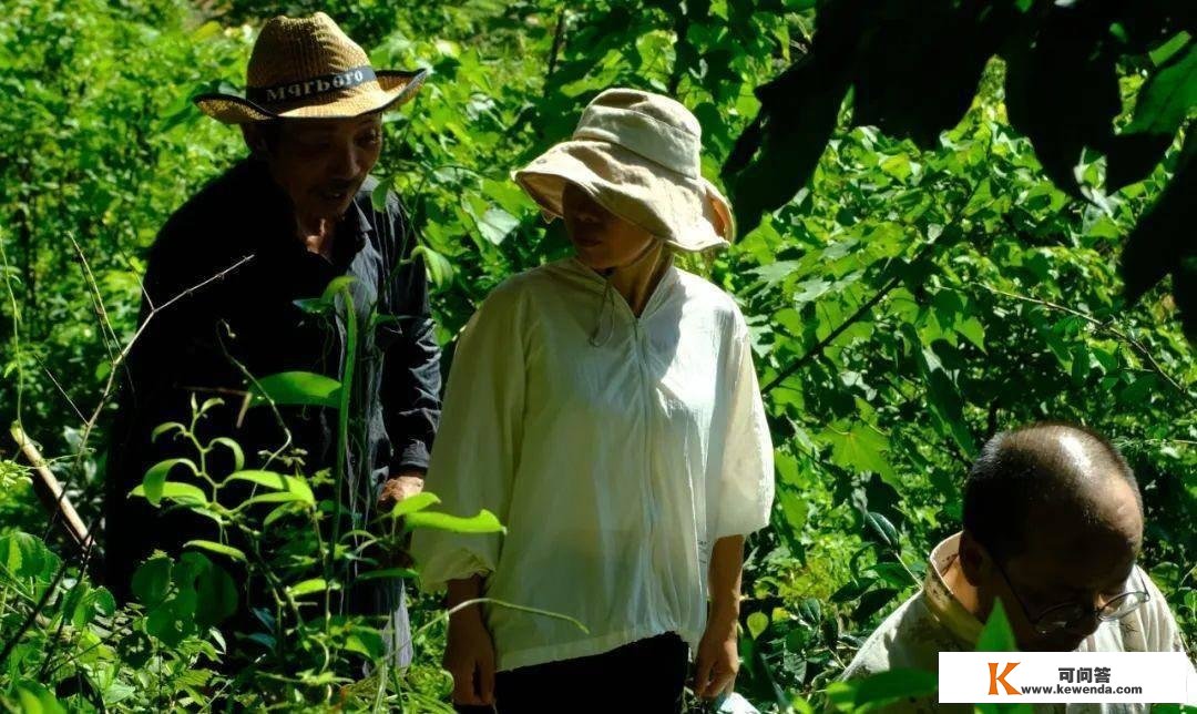 隐藏莆田大山中的千亩唐宋茶田，能否为福建贡茶的消费地？