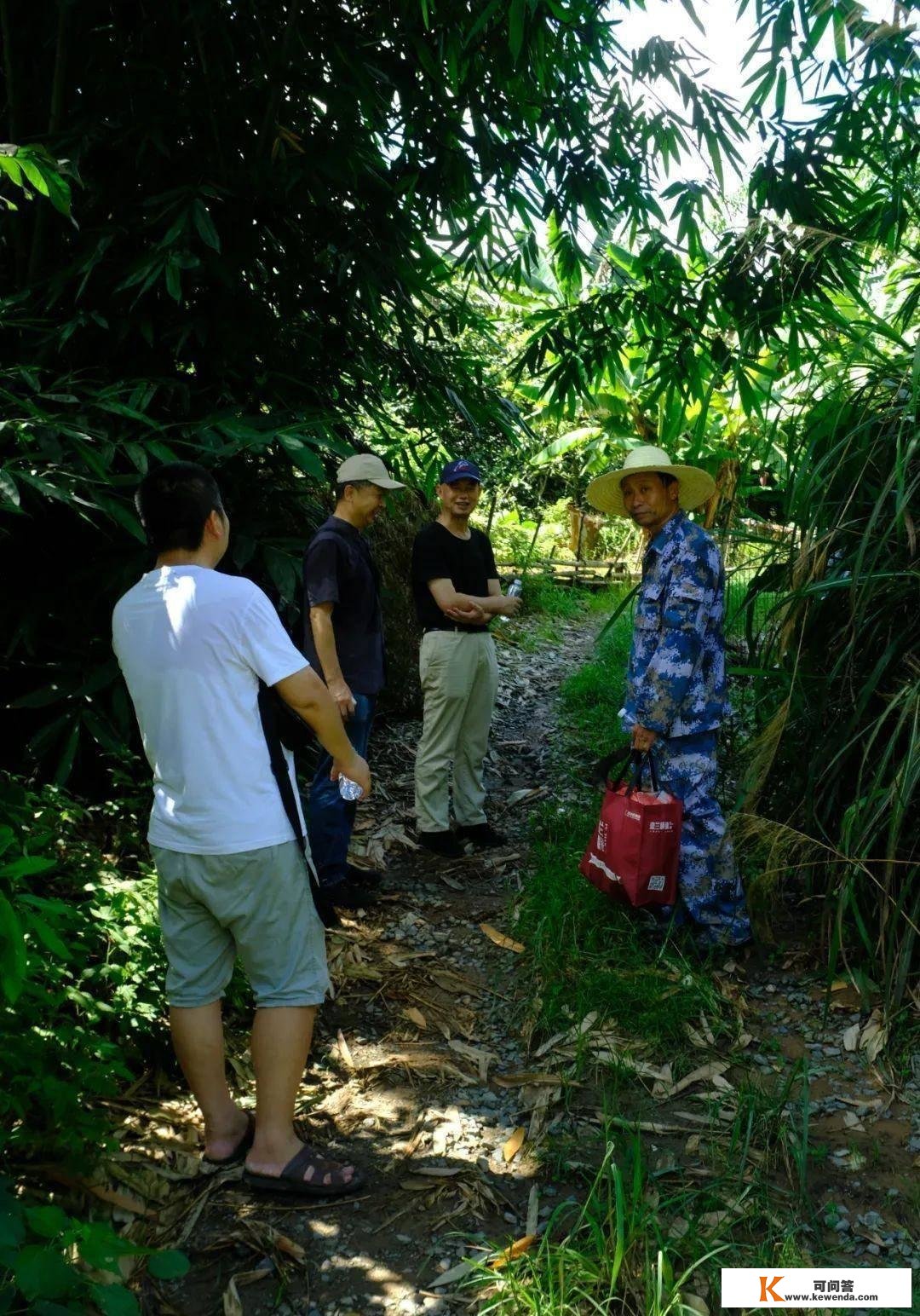 隐藏莆田大山中的千亩唐宋茶田，能否为福建贡茶的消费地？