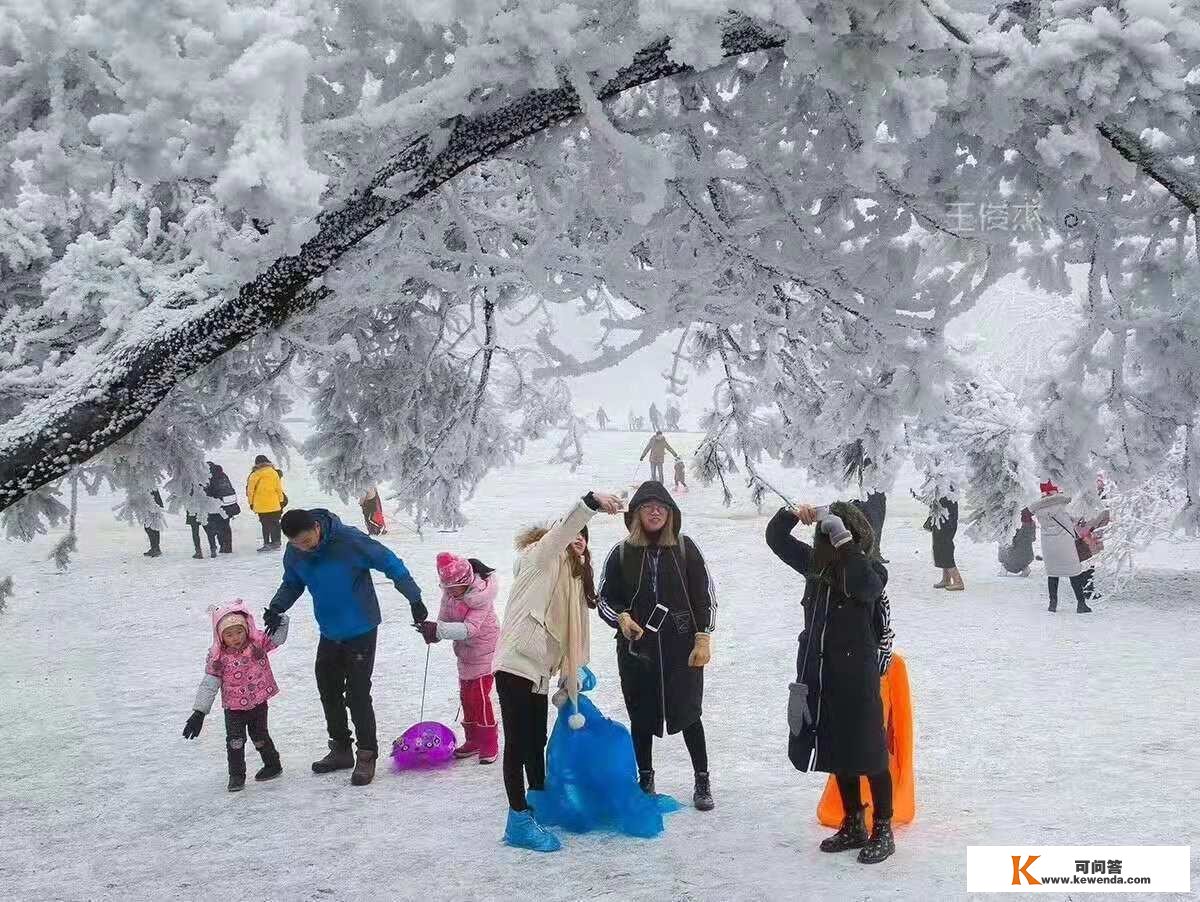 重庆迎断崖式降温，仙女山浪漫雪景已“打包”急待发货