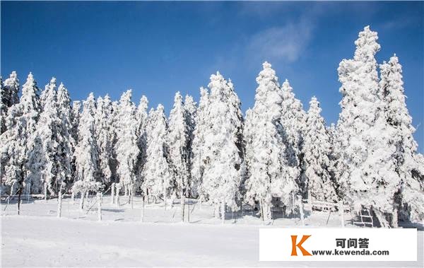 重庆迎断崖式降温，仙女山浪漫雪景已“打包”急待发货