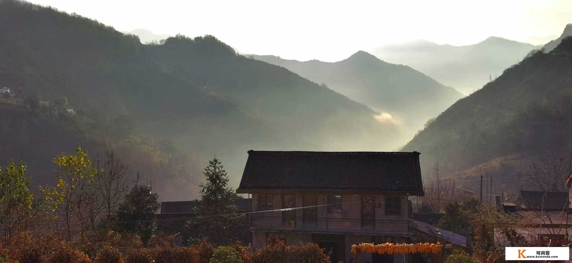 播种美妙 收成春天 影片《远山花开》温暖首映