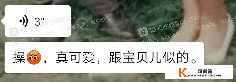 当我妈一边用手机听小说一边给我发语音