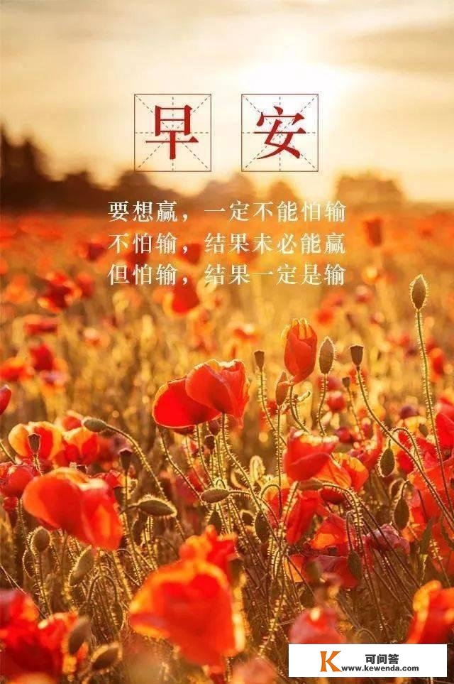 腾辉晨安心语｜生命有裂痕，阳光才照得进来。晨安~