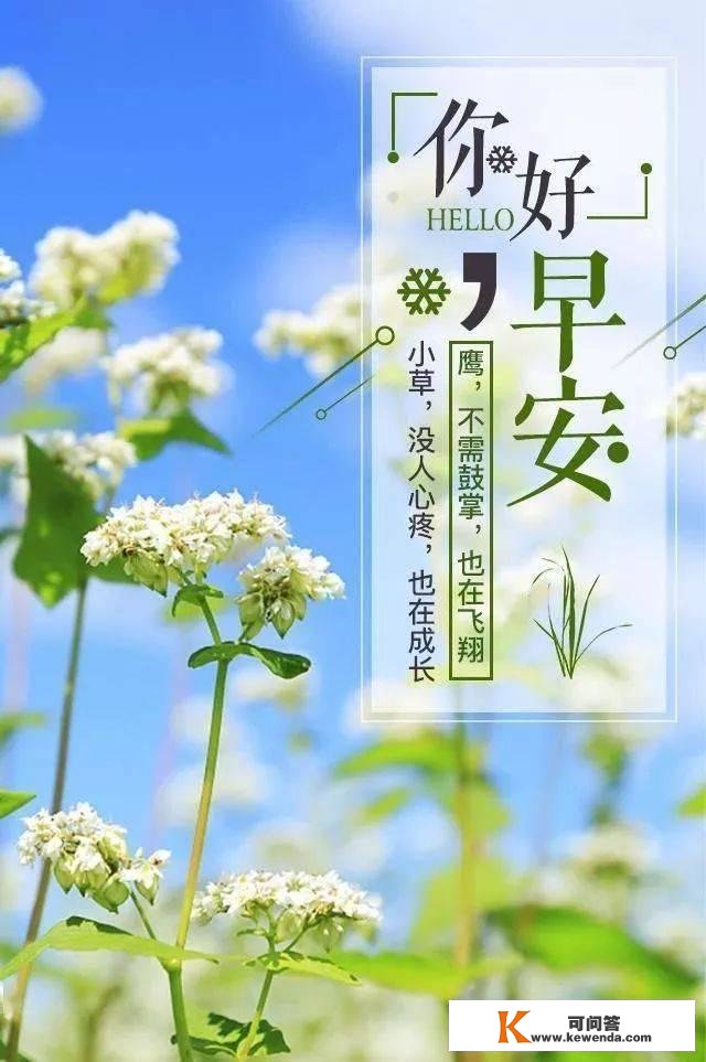 腾辉晨安心语｜生命有裂痕，阳光才照得进来。晨安~