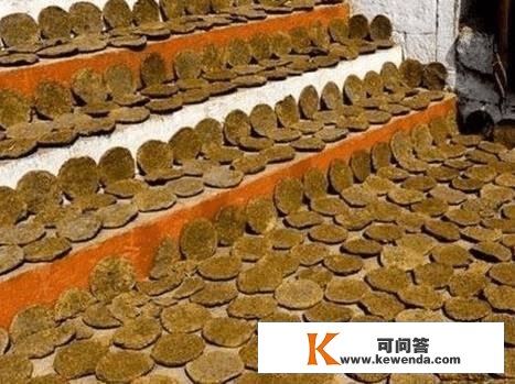 筹办将“牛粪饼”出口中国，2盒卖60元，印度：中国人必定会抢购