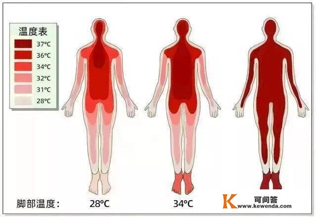 同事抢着薅的“足底小太阳”！穿上升温9℃，零下气候不冻脚！