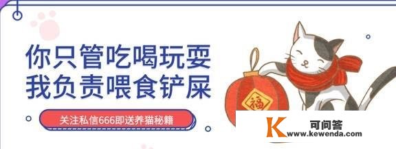 长得都雅实的能当饭吃！那只猫凭仗高颜值为仆人实现财产自在！