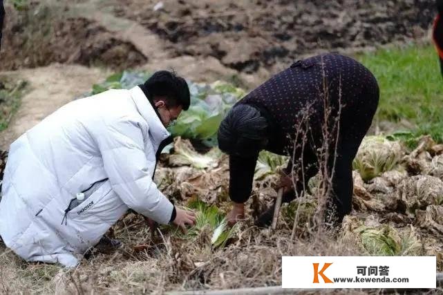 狂飙4000公里开电动车回家过年！是大冤种仍是实享受？