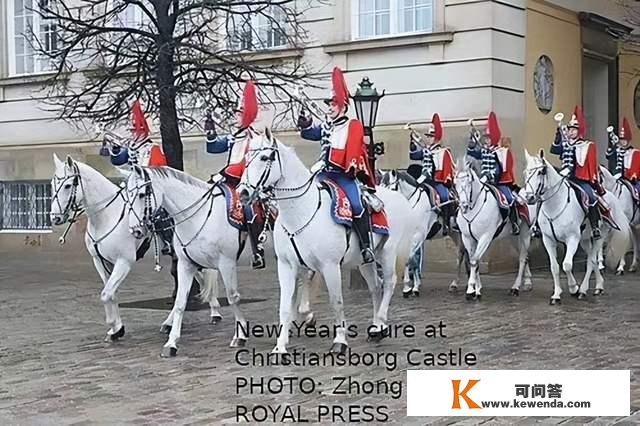 丹麦女王为丹麦武拆队伍举办新年招待会