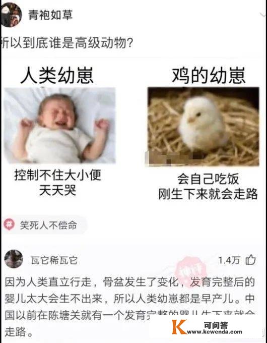 那就是见家长的天花板吧，气氛嗨爆了哈!丨搞笑囧图