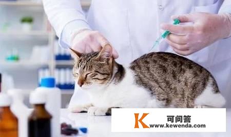 猫咪疫苗什么时候打怎么打，铲屎官们做对了吗