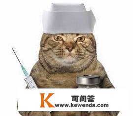 妙三多没打完能绝育吗？猫咪绝育什么时候更佳？