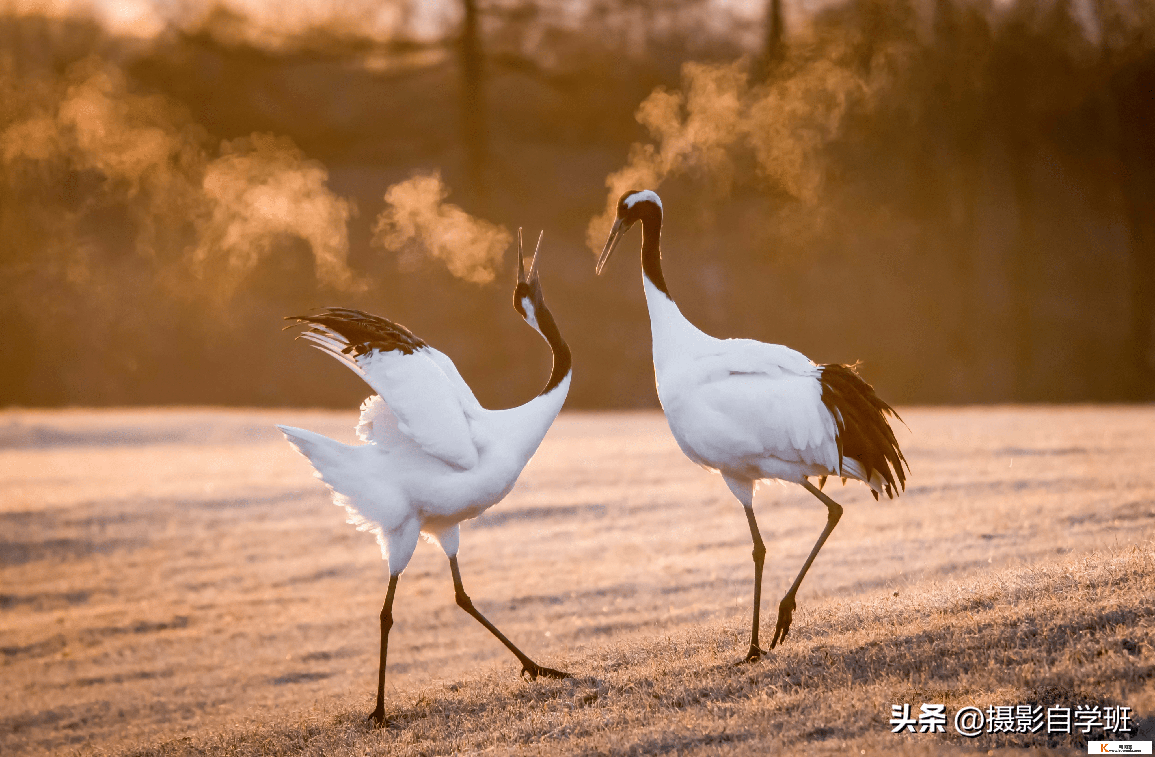 用7句风光摄影口诀，帮你通俗场景拍大片