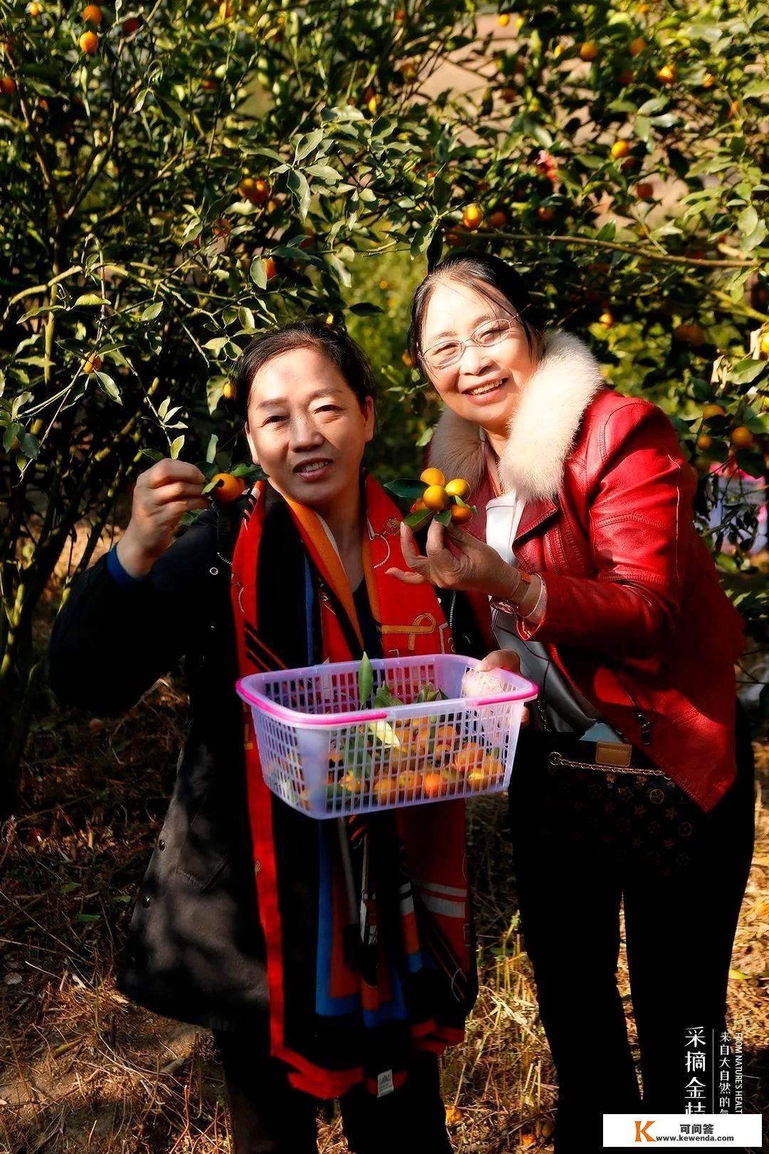 解锁吃喝玩乐 | 星空露营、团建聚会、美景美食，一站式处理尽在高州仙人洞