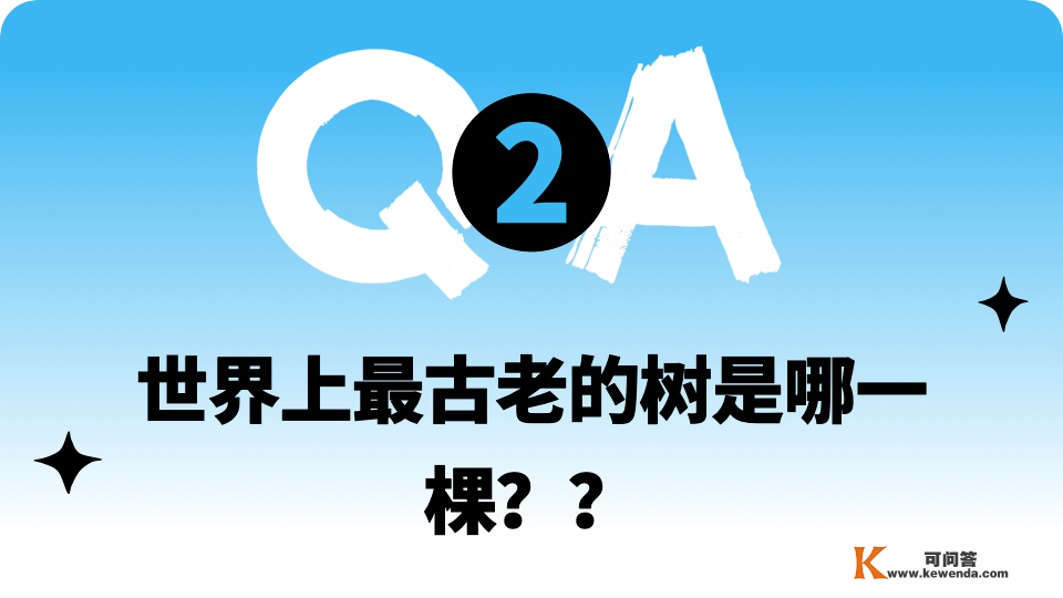 趣问万物 | 高压电线上的那些五颜六色的大球是什么？