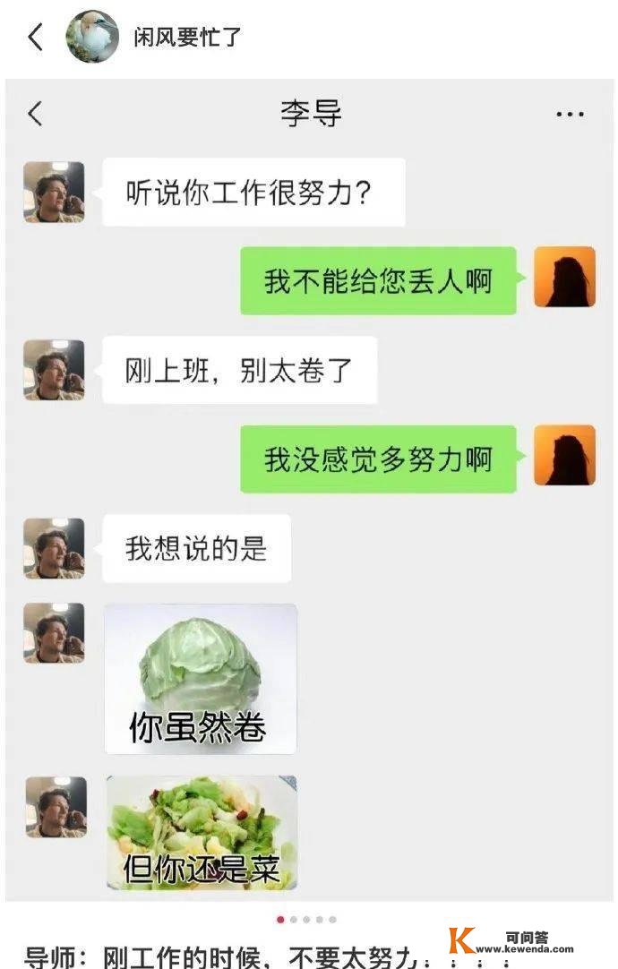 大嫂是狼堡的吧，那猫是莽村的吧丨搞笑囧图集