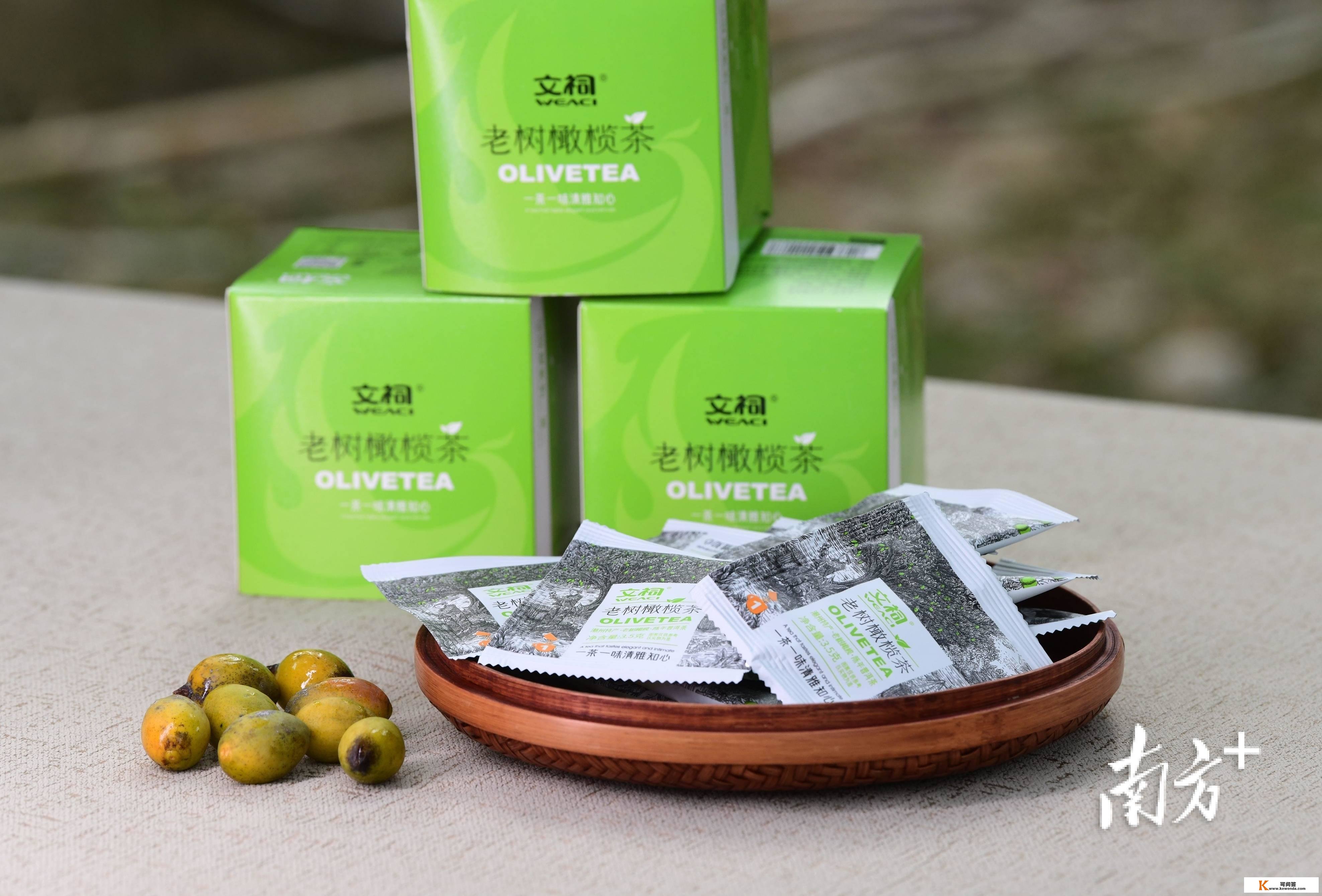 “橄榄十问”之九：橄榄茶怎么喝，是橄榄叶子做的吗？