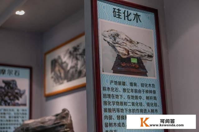 深圳有个石头博物馆，八门五花，活灵敏现