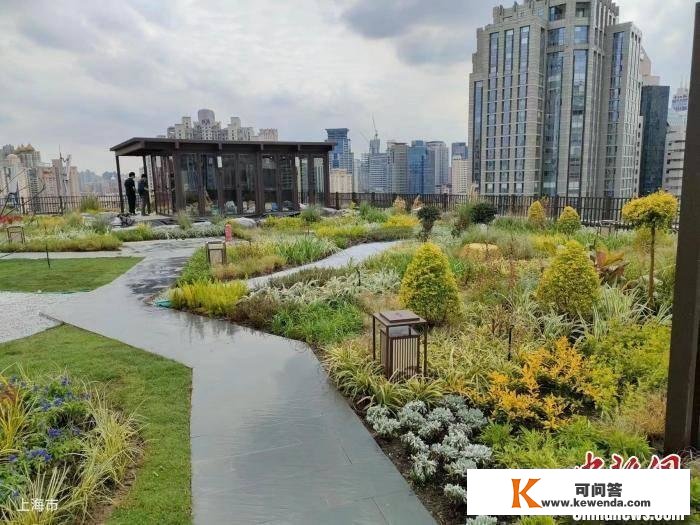 看望国际大都会的第五立面：上海立体绿化总量逾550万平方米