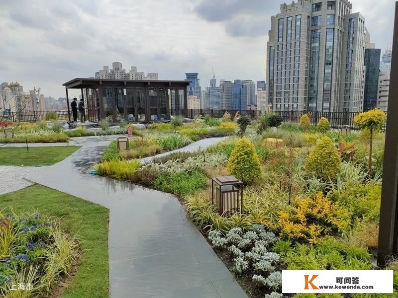 分开空中造绿，上海立体绿化总量超越550万平方米
