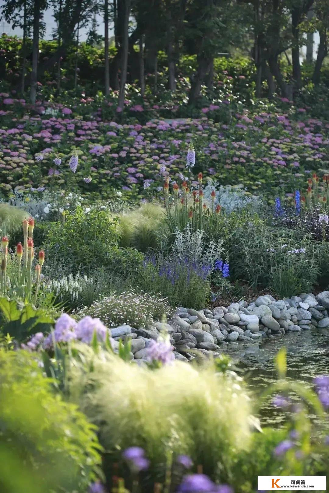 工科生转行种花，1年半打造50亩梦幻花园，超10个主题，26000多种动物