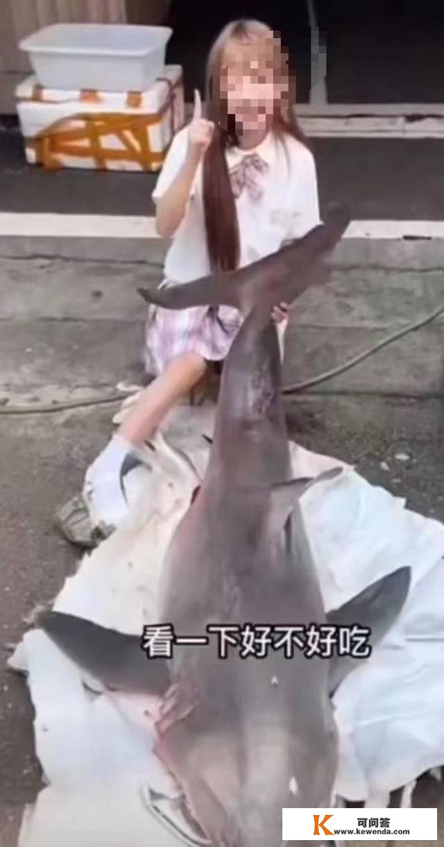 网红“提子”烹食大白鲨被罚12.5万元，警方称其购置时不知是噬人鲨，律师：可不承担刑责
