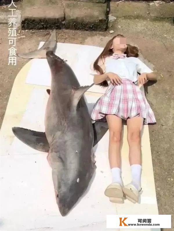 网红“提子”烹食大白鲨被罚12.5万元，警方称其购置时不知是噬人鲨，律师：可不承担刑责