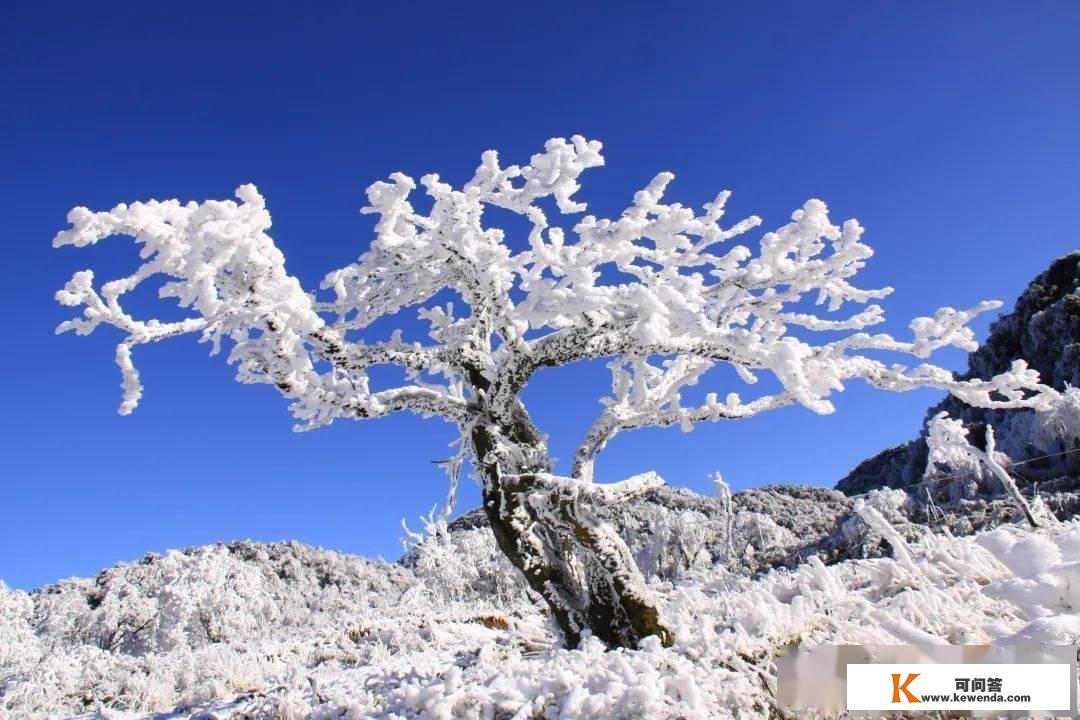 金佛山冰雪季来了！出色活动提早晓得~