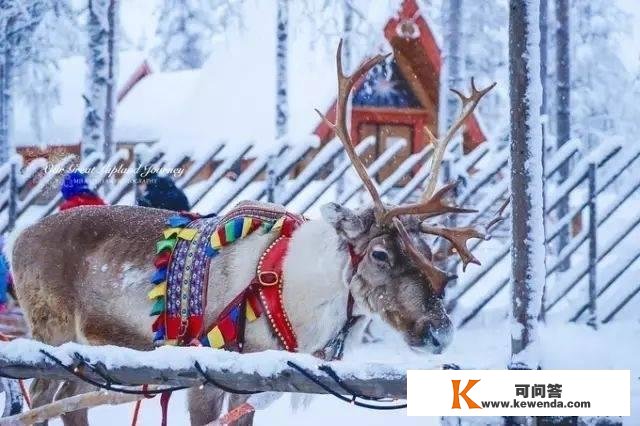 全球最有魅力的6大冬季游览圣地！滑雪泡温泉看极光一个都不克不及少