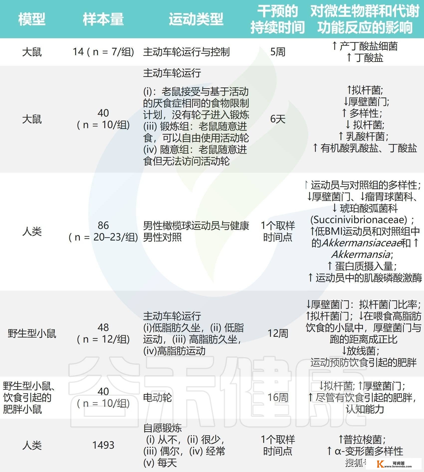 体育熬炼与饮食相连系：调理肠道菌群来预防治疗代谢性疾病