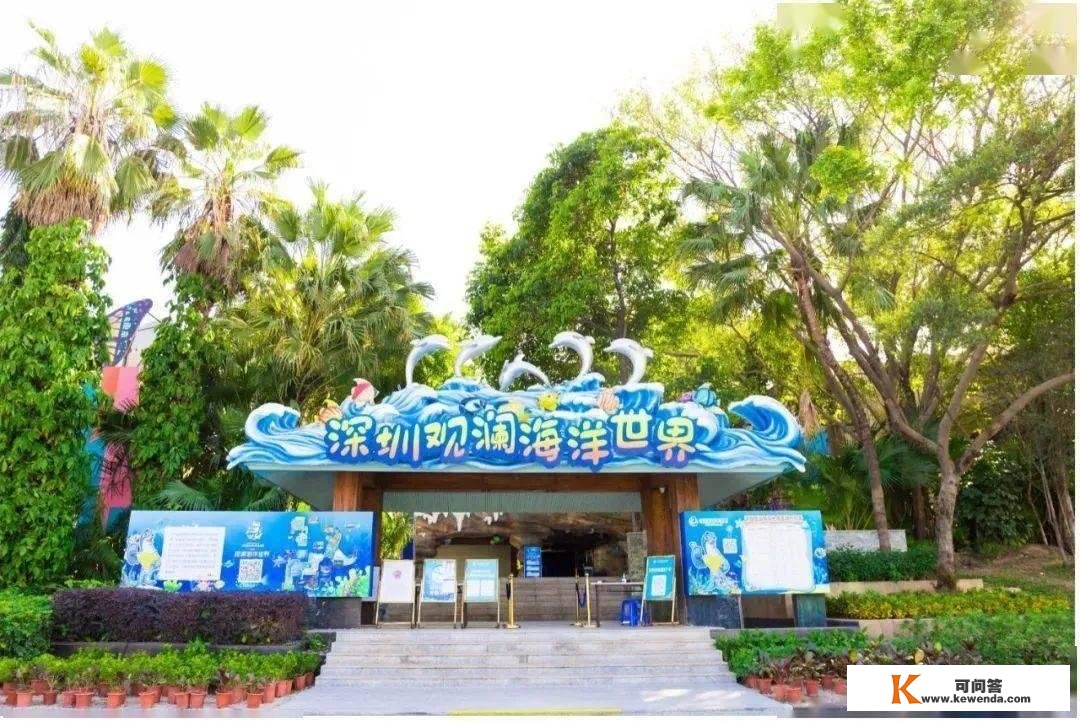樱花节、看烟花、舞狮灯会……深圳春节景区和公园玩耍指南在那了~