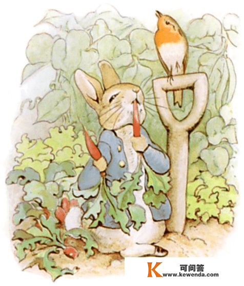 兔年读兔：聊聊文学做品中几只出名的兔子
