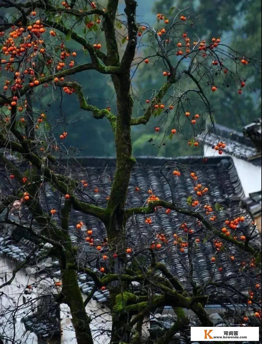 旅游与摄影 | 9个安徽古村古镇，别样风情风味