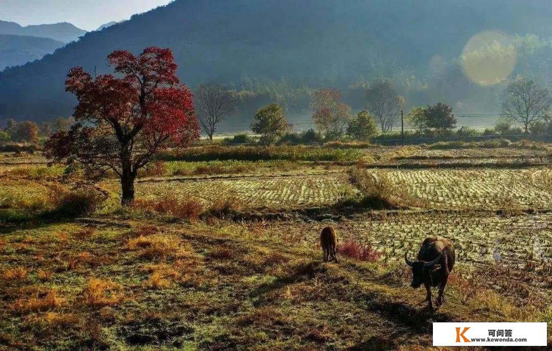 旅游与摄影 | 9个安徽古村古镇，别样风情风味