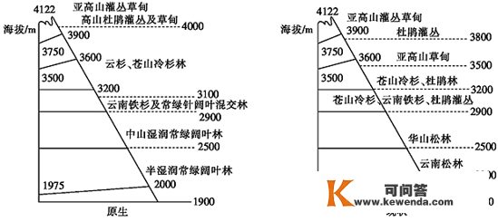 新微专题: 地球上独一的蓝血生物！生物多样性、物种的特殊性阐发，积雪对天文情况的感化、附海洋灾祸专题