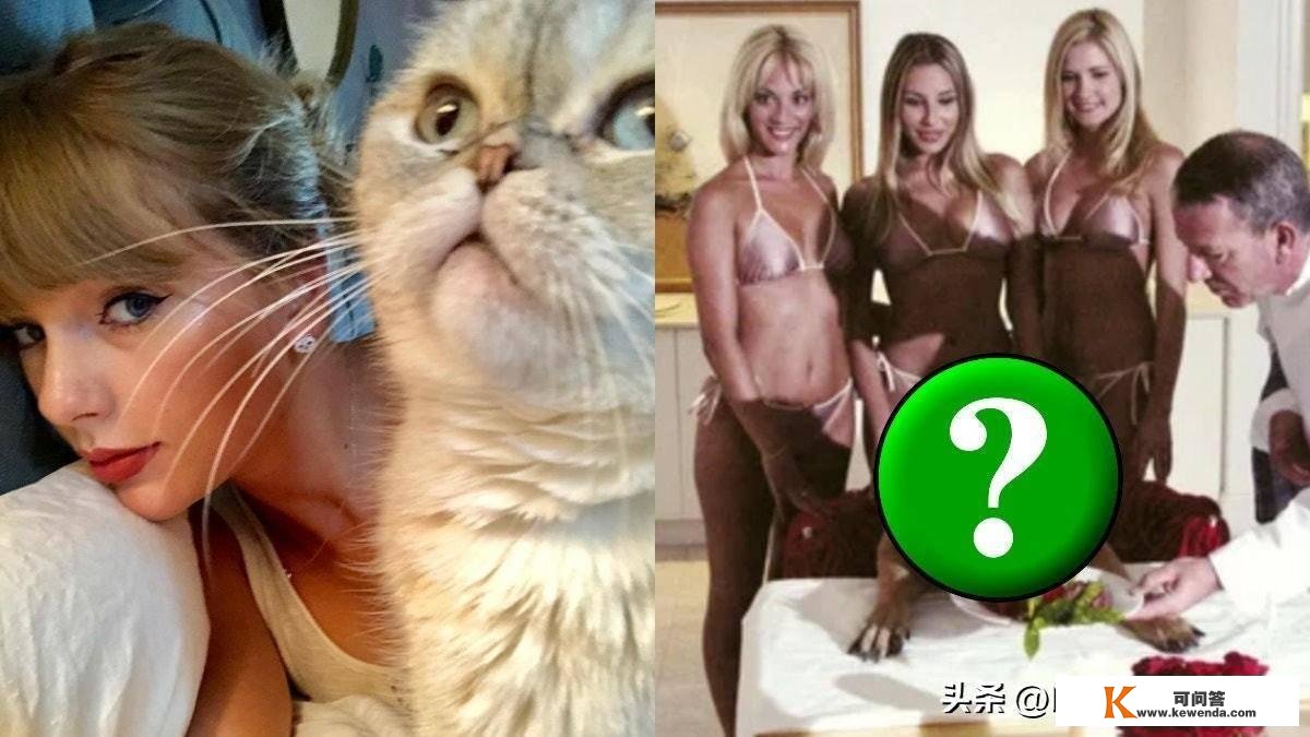 国外歌手爱猫身价竟高达7亿 全球最值钱宠物？