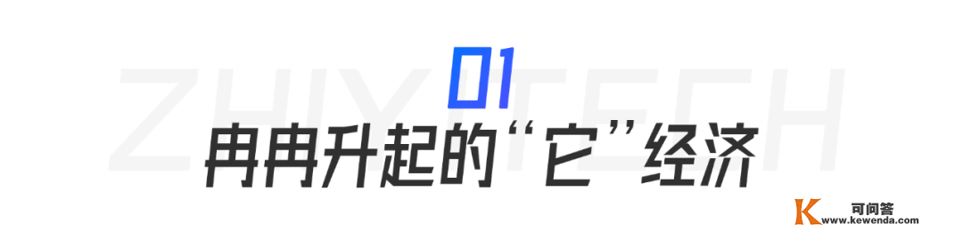 炼丹炉行业察看｜2022都快过去了，宠物经济的火还能烧多久？