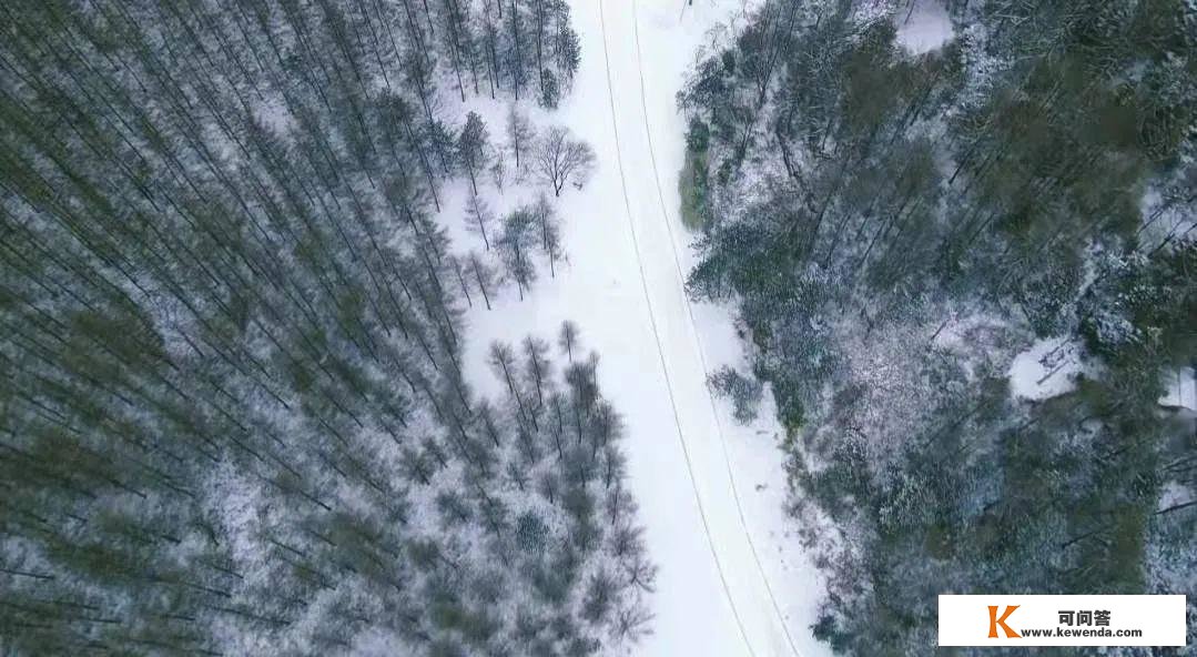 【曾家山】曾家山绝美雪景来袭，请查收！