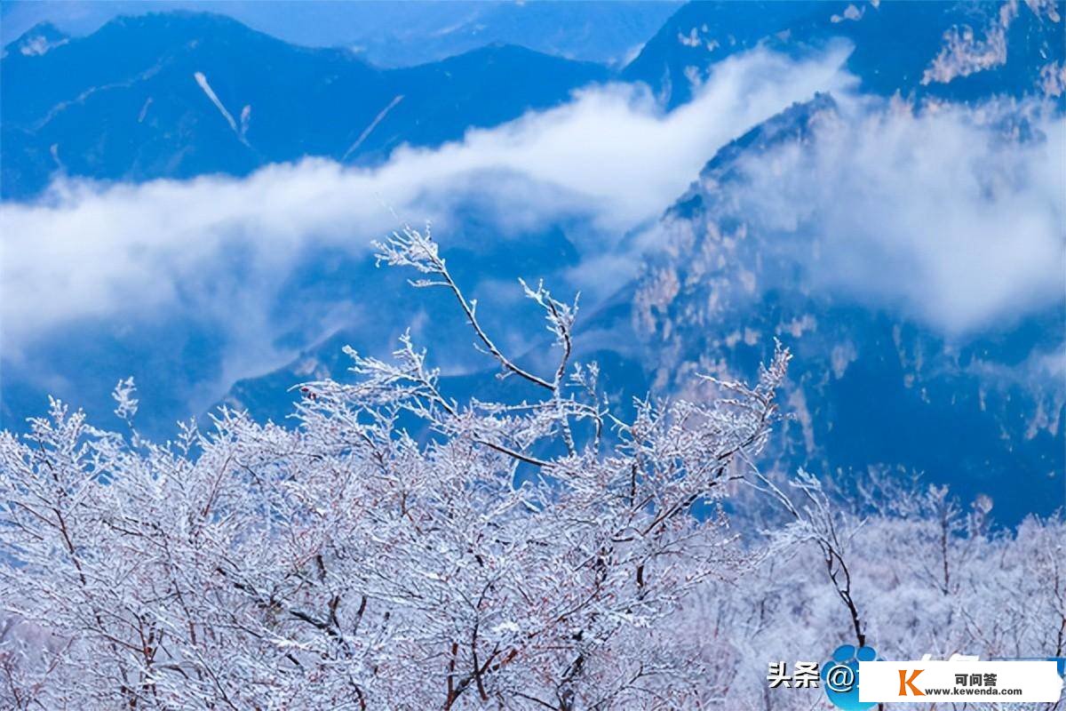 漫山玉树琼枝！河南云台山持续多日现云海雾凇美景