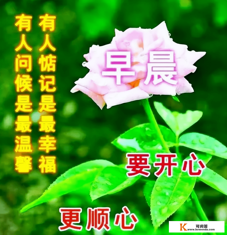 早上好，祝愿问候，友谊稳定！