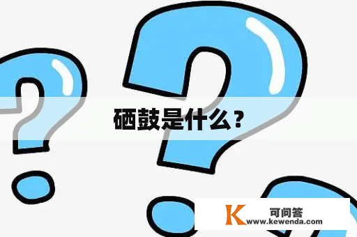 硒鼓是什么？