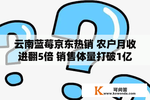 云南蓝莓京东热销 农户月收进翻5倍 销售体量打破1亿元规模