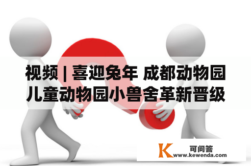 视频 | 喜迎兔年 成都动物园儿童动物园小兽舍革新晋级